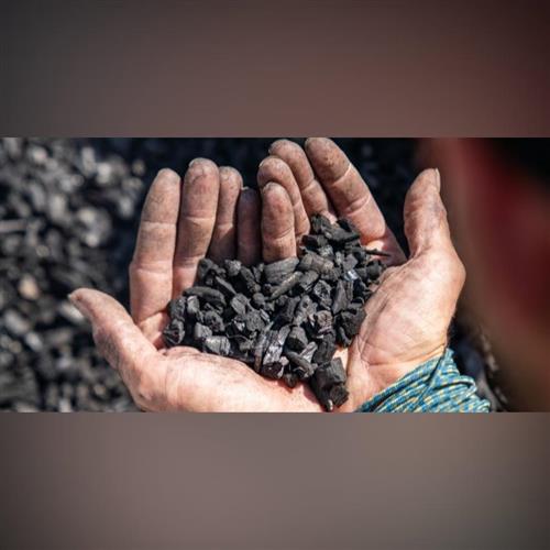 Workshop na výrobu biouhlia